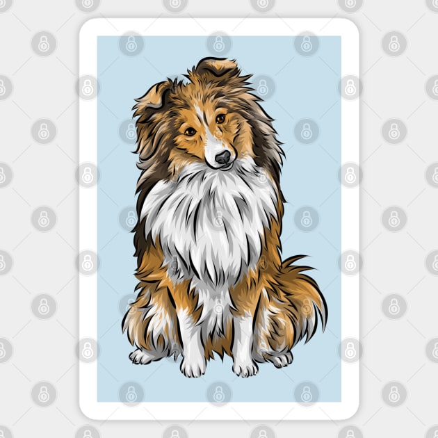 Cute Shetland Sheepdog | Sable | Herding Dog Magnet by Shirin Illustration